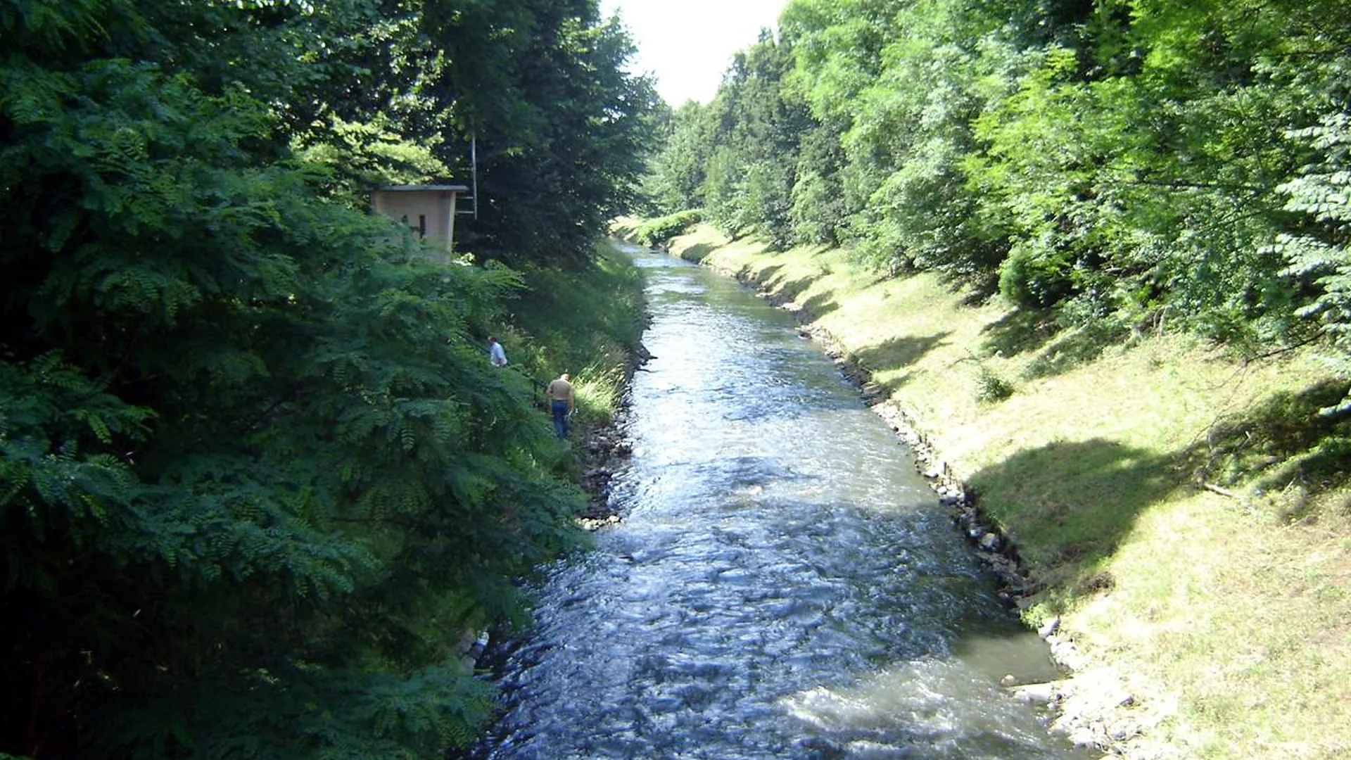 Gliwice - panorama miasta, Strony internetowe w Gliwicach