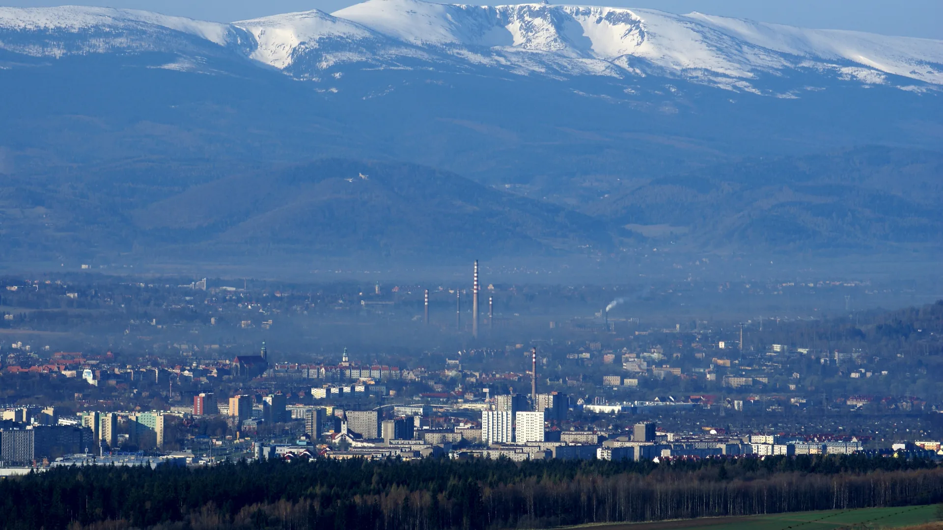 Jelenia Góra - panorama miasta, Sklepy internetowe w Jeleniej Górze
