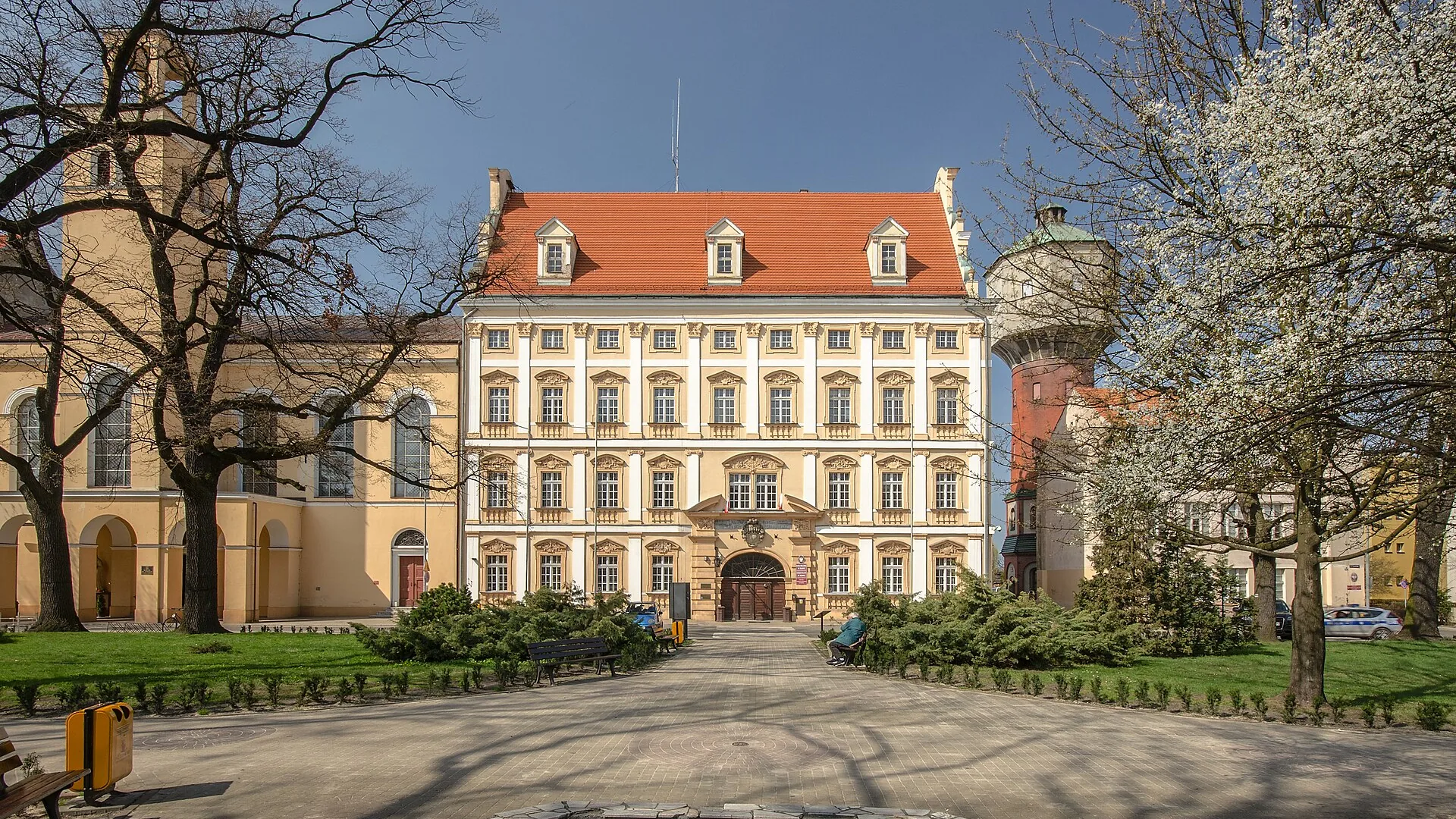 Oława - panorama miasta, Strony internetowe w Oławie