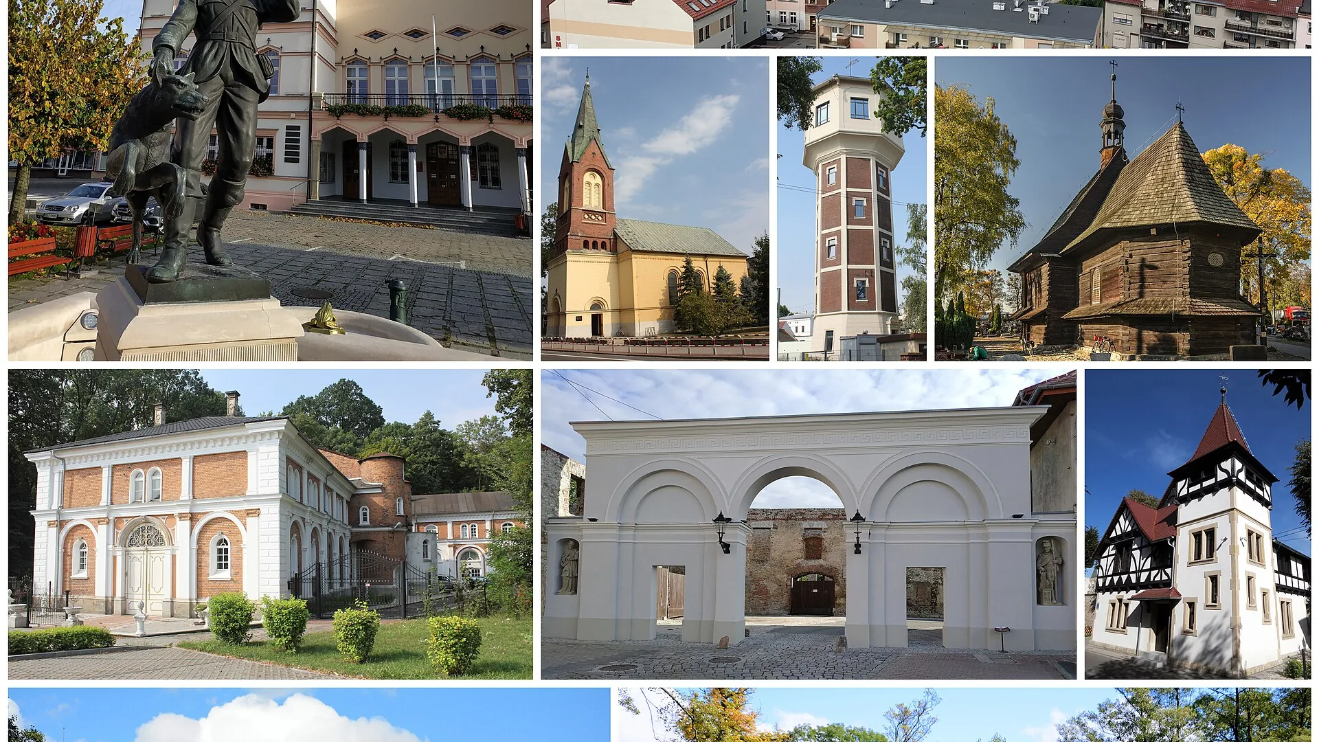 Strzelce Opolskie - panorama miasta, Strony internetowe w Strzelcach Opolskiach