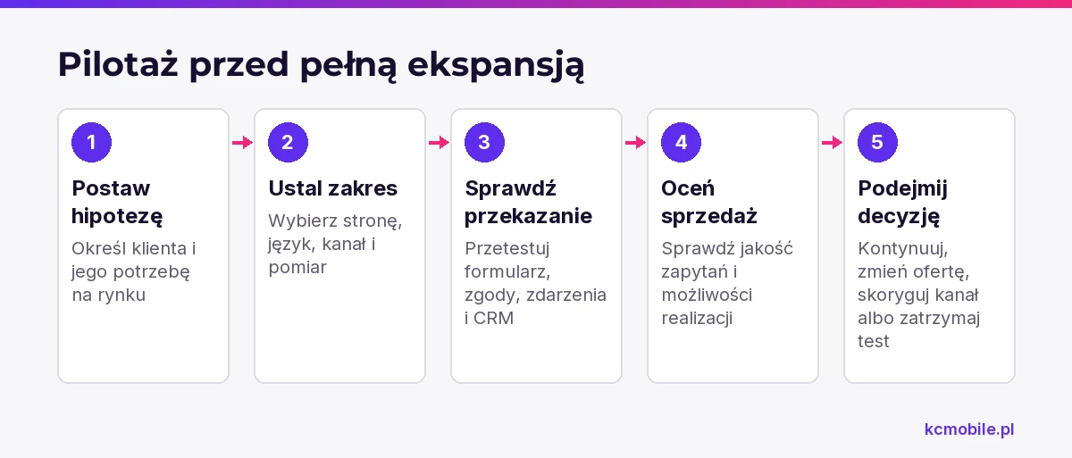 Schemat prowadzi przez etapy pilotażu ekspansji, od hipotezy rynkowej po decyzję o dalszym kierunku działań.