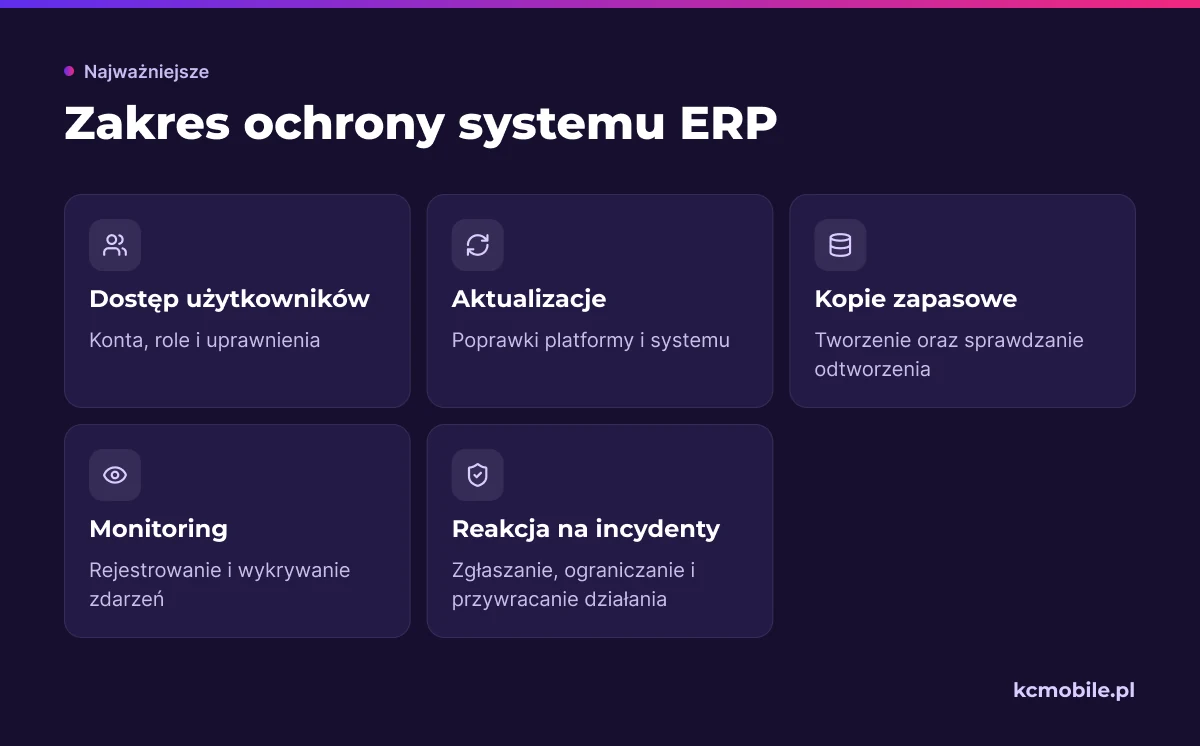 Lista zbiera obszary, które firma i dostawca powinni objąć ochroną ERP, aby łatwiej uzgodnić odpowiedzialność i kontrolę.