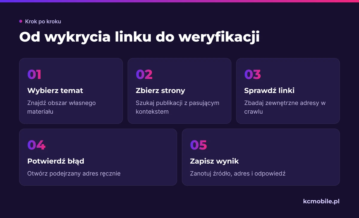 Schemat pokazuje, jak przejść od wyboru tematu i zebrania stron do ręcznego potwierdzenia problemu oraz zapisania wyniku.