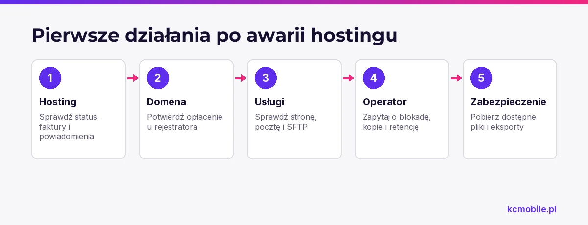 Schemat porządkuje pierwsze kontrole i zabezpieczenie dostępnych danych po awarii hostingu.