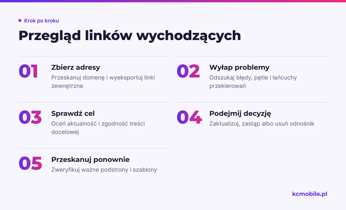 Schemat pokazuje kolejność kontroli linków od zebrania adresów po ponowne skanowanie po naprawie problematycznych celów.