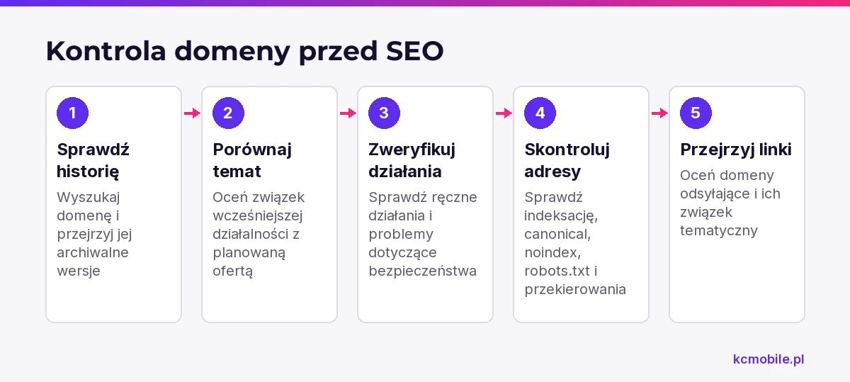 Schemat porządkuje kontrolę domeny przed rozpoczęciem SEO: od historii i tematyki po konfigurację adresów oraz ocenę linków.