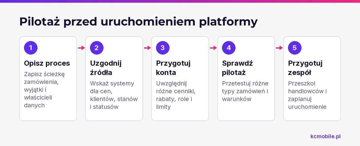 Schemat porządkuje etapy pilotażu sprzedaży B2B, pomagając sprawdzić dane, konta, proces i gotowość zespołu przed uruchomieniem.