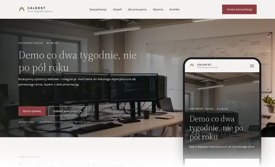 Projekt koncepcyjny strony - Firma programistyczna