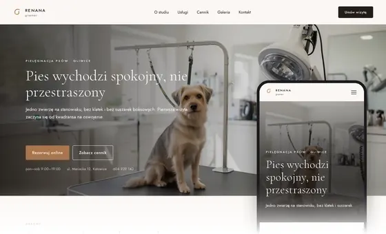 Projekt koncepcyjny strony - Groomer